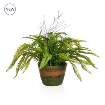 Potted Fern In Grey Pot