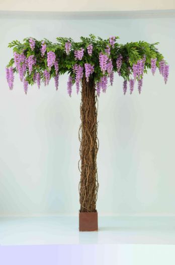 Luxury Bespoke Natural Vine Trunk Wisteria Tree