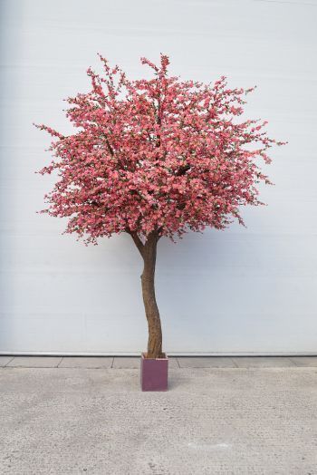 Large Bespoke Cherry Tree