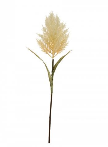 Large Dried Feathered Astilbe
