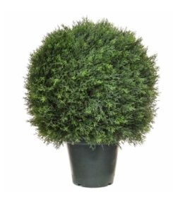 Topiary Cedar Ball UV
