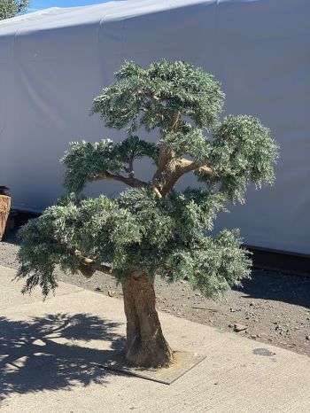 Fabricated Trunk Bonsai Tree