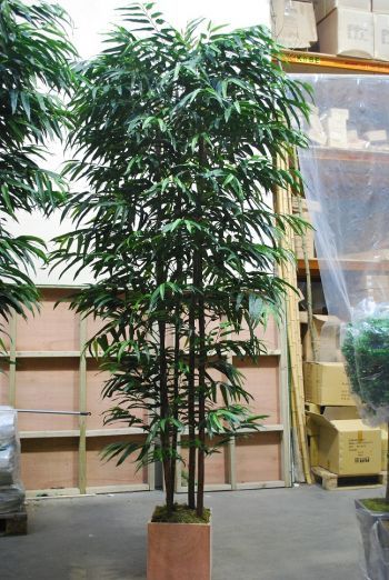 Luxury Bespoke Natural Bamboo Tree
