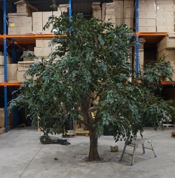 Bespoke Fabricated Ficus Tree