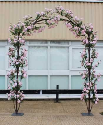 Rose Arch Tree