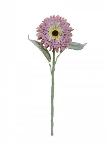 Flocked Gerbera, Dried Touch