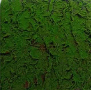 Lush Moss Panel