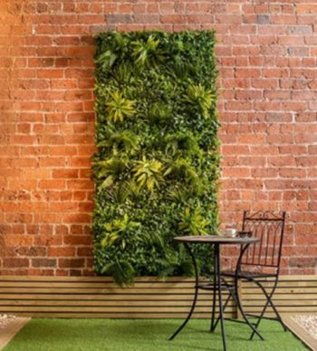 Draceana, Ivy & Fern Living Wall UV x8